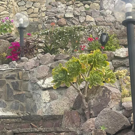 Domo A Mare 别墅 Magomadas